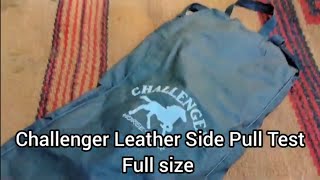 Challenger Horse Wear Full size Leather SidePull test  which horse does it fit and exercises [upl. by Adelpho]