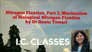 Bioinorganic Chemistry Part 7 Nitrogen fixation part 3 Mechanism of Nitrogen Fixation by Dr Geeta [upl. by Enaid158]