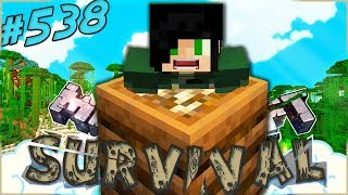 FARM AUTOMATICA DI CONCIME  Minecraft 114 ITA  Survival 538 [upl. by Evie678]