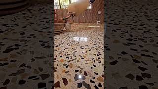 Terrazzo floor crystallization terrazzo landscapedesign landscapestone villa realestate [upl. by Swift]