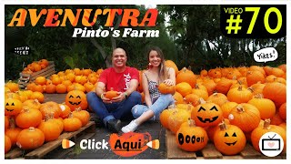 Aventura Calabazas Pintos Farm Miami [upl. by Daniele]