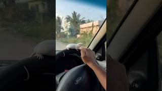 Stuart🐁tho long drive 🚗🫠 telugu hamsters ytshorts trendingshorts viralshorts guntakal [upl. by Bunns]