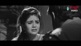 Kutumba Katha Chitram Scenes  Sreemukhi Scene  Volga Videos [upl. by Klein]