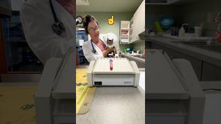 🩸How Veterinarians Keep Blood From Clotting vet cat animalrescue [upl. by Aleetha]