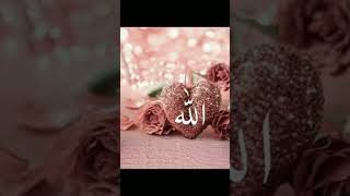 SURAH FUSSILAT 41  AYAH 363 urdu viralvideo motivation shorts viralvideo quran ytshorts yt [upl. by Hiamerej9]