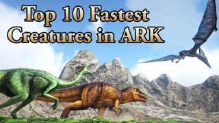 TOP 10 Fastest Creatures in ARK WILD update  ARK Survival Evolved  Cantex [upl. by Ssew]