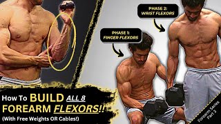 How to Build ALL 8 Forearm Flexors 4 Finger Flexors  4 Wrist Flexors  Big amp Ripped Forearms 💪 [upl. by Devi]