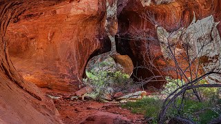 Seven Keyholes Canyon in Gold Butte [upl. by Afital]