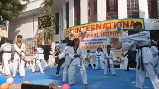 CPS international team present by yoga gymnastics taekonwdo demonstration [upl. by Shuping578]