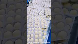 Daifuku Mochi Filling amp Coating MachineJapanese Fruits Daifuku Mochi MachineSnowball Cakes Machine [upl. by Aoket]