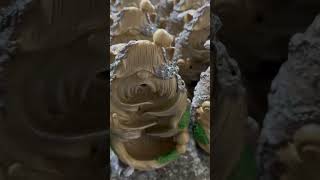 tree man backflow incense burner custom treeman backflowincenseburner holder manufacturer [upl. by Aifoz]