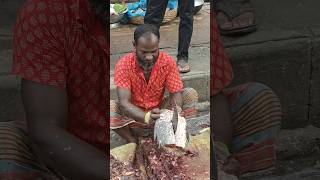 Amazing big size Katla fish peti cutting skill shorts trending viralvideo fishcuting katla [upl. by Joni]