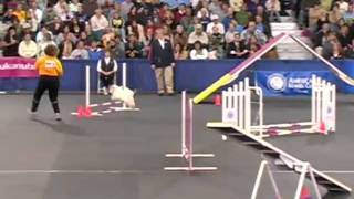 Finals Round Agility  Lucky [upl. by Nugent975]