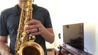 Gold Plated Rampone and Cazzani R1 Jazz Alto Saxophone Demo wwwdcsaxcom [upl. by Timotheus]