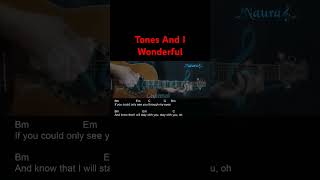 Tones And I  Wonderful Guitar Chords Lyrics shorts [upl. by Enra314]