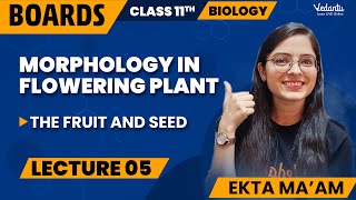 Morphology in Flowering Plants Class 11 L5  Class 11 Biology Chapter 5  CBSE 2024  Ekta Mam [upl. by Hampton]