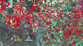 Satellites Spot Crop Circles in Texas [upl. by Ennail689]