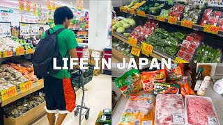 Vlog Daily life in Japan🇯🇵Buying groceries at the beginning of the monthMaking curry and rice [upl. by Hintze]