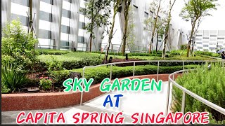 SKY GARDEN AT CAPITA SPRING SINGAPORE [upl. by Ackerley]