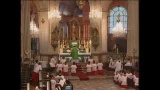 Parisians Enjoy Simple Majesty of Tridentine Latin Mass [upl. by Linette782]