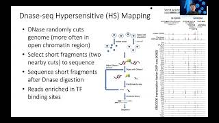 STAT115 Chapter 135 Introduction to DNaseseq and ATACseq [upl. by Mis599]