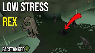 Low Stress Rex  Low Requirement Dagannoth Rex Safespot Guide [upl. by Maurizio]