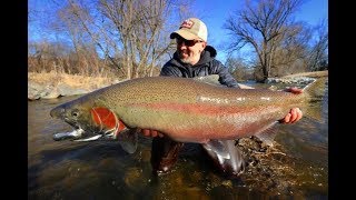 The 3 Best ways to catch Spring Steelhead and Brown Trout [upl. by Syxela]