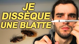 JE DISSÈQUE UNE BLATTE  SciVlog 3 [upl. by Ameerahs]