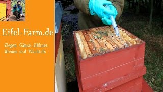 Bienen Update Dezember 2016 [upl. by Bushweller507]