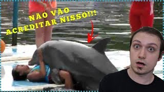 7 fatos BIZARROS sobre os GOLFINHOS [upl. by Yasmin5]