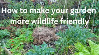 Some tips to do now and over the winter to make your garden better for wildlife next year [upl. by Drofnats388]