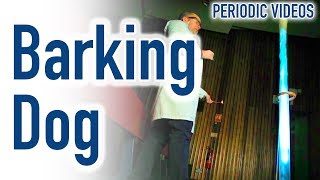 Barking Dog slow motion  Periodic Table of Videos [upl. by Vin]