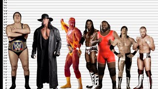 Wrestlers that are way Shorter than you Think  Height comparision [upl. by Fiorenze]