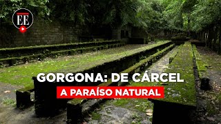 Gorgona la isla que pasó de prisión de máxima seguridad a paraíso natural  El Espectador [upl. by Caresa]