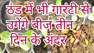 seed growing secret in winter how to grow seeds of bottle gourd [upl. by Shererd804]