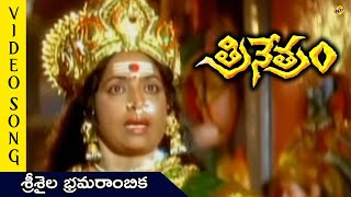 Srisaila Bramarambika Video Song  Trinetram Movie Video Songs  Raasi  Sijju  TVNXT Telugu Music [upl. by Birecree]