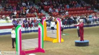 Superdogs at the 2009 Royal Manitoba Winter Fair [upl. by Nylsirk]