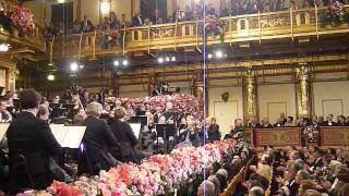 Wiener Philharmoniker Silvesterkonzert 31122013   Radetzky March [upl. by Jacoby]