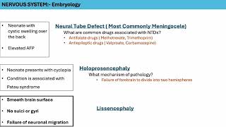 HIGH YIELD NERVOUS SYSTEM EMBRYOLOGY [upl. by Ramedlaw]