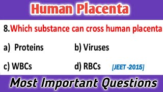 Human Placenta  embryology  developmental biology  general embryology mcq [upl. by Antonino]