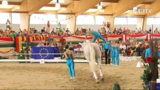 FEI European Vaulting Championships 2013  Junior Squad  Top 3 [upl. by Nylegna]