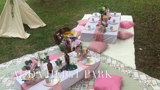 DIY Picnic for birthday party [upl. by Eirrab735]