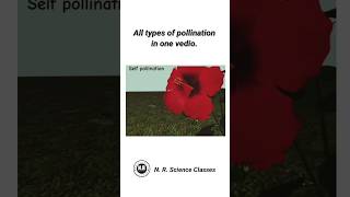 All types of pollination in one video biology science shorts [upl. by Sdlonyer]