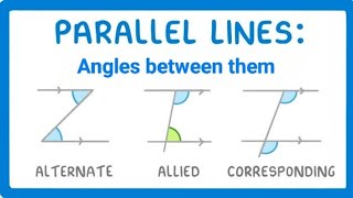 Parallel Lines And Angles Between Them [upl. by Ariaes627]