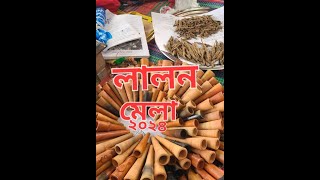 লালন মেলায় এসে কোথায় থাকবেন ।কীভাবে যাবেন [upl. by Eruza]