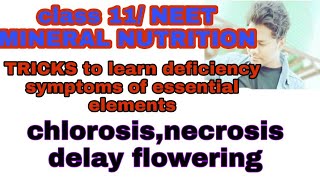 TRICKS to learn deficiency symptoms of essential elements chlorosis necrosisdelay floweringNEET [upl. by Mulcahy201]