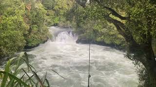 Rotorua  Okere Falls Track [upl. by Annaik]