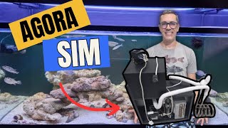 Construí um CHILLER MUITO EFICIENTE para meu aquário MARINHO com o MELHOR custo benefício 🤑 aquario [upl. by Oisorbma518]