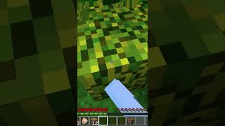 I Tried Hardcore Minecraft [upl. by Atineb]