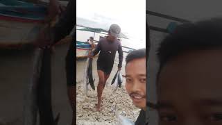 MANCING DONG BIAR GOSONG fishing mancing [upl. by Aniakudo]